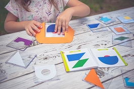 Smart Games Kolorowy Kod