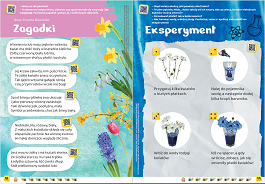 Miś. WIOSNA sklep.wsip.pl (250 x 341 px) (1).png