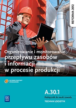 Organizowanie i monitorowanie przepływu zasobów i informacji w procesie produkcji. Kwalifikacja A.30.1. Podręcznik do nauki zawodu technik logistyk